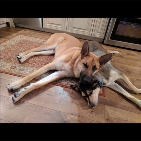 THANK YOU_ Rest in peace my love - Picture 8 of 12